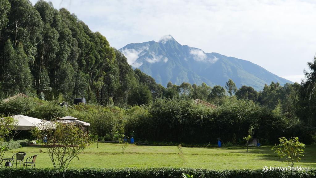 Le Bambou Gorilla Lodge Kinigi 외부 사진