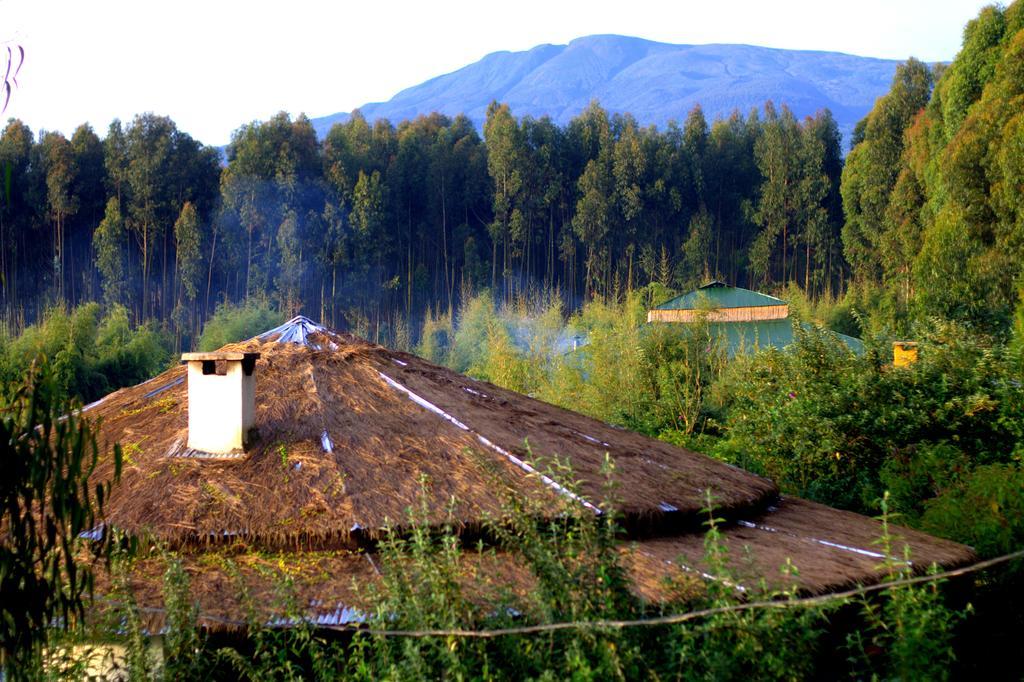 Le Bambou Gorilla Lodge Kinigi 외부 사진